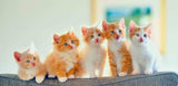 Picture perfect mugs