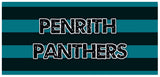 Nrl Team Licence Plate Aluminium Signs